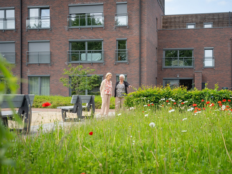 De groene binnentuin van Gaudium in Mol